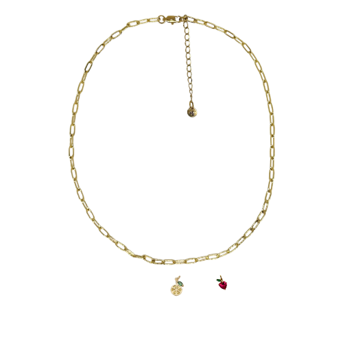 CHARMING BAR: necklace chain - customer's Product with price 37.00 ID r1OoAA_PqZSYOT_YcpEfnyQI